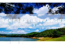 手机相机传感器（1英寸手机相机传感器）