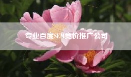 专业百度SEM竞价推广公司