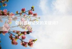 如何提取论文的关键词？