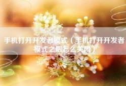 手机打开开发者模式（手机打开开发者模式之后怎么关闭）