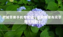 肥城苹果手机专卖店（肥城哪里有卖苹果手机的）