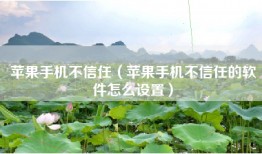 苹果手机不信任（苹果手机不信任的软件怎么设置）