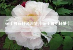 玩手机有什么害处（玩手机的坏处）
