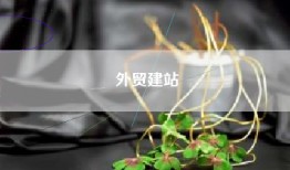 外贸建站