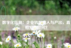 数字化狂潮：企业转型投入与产出，真相究竟如何？