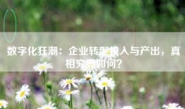 数字化狂潮：企业转型投入与产出，真相究竟如何？