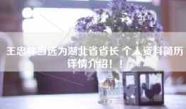 王忠林当选为湖北省省长 个人资料简历详情介绍！！