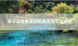 李子柒现象背后的真实与文化迷思