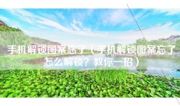 手机解锁图案忘了（手机解锁图案忘了怎么解锁？教你一招）
