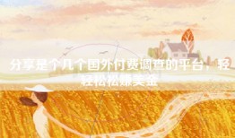 分享是个几个国外付费调查的平台，轻轻松松赚美金