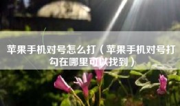 苹果手机对号怎么打（苹果手机对号打勾在哪里可以找到）