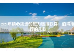 2024年精心挑选的磁力链接软件：值得推荐的几款