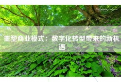 重塑商业模式：数字化转型带来的新机遇