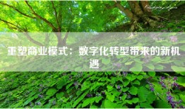 重塑商业模式：数字化转型带来的新机遇
