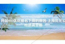 网站SEO优化排名下降的原因-上海优化公司途阔营销