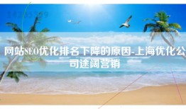 网站SEO优化排名下降的原因-上海优化公司途阔营销