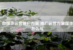 自媒体运营推广方案 推广运营方案媒体怎么写