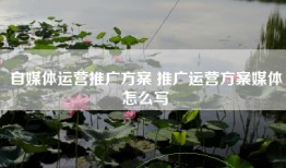 自媒体运营推广方案 推广运营方案媒体怎么写