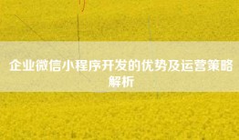 企业微信小程序开发的优势及运营策略解析