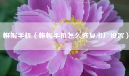 帷幄手机（帷幄手机怎么恢复出厂设置）