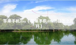 苹果手机dlna（苹果手机dlna功能怎么打开）