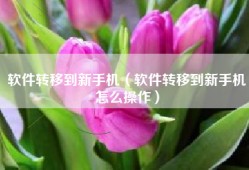 软件转移到新手机（软件转移到新手机怎么操作）