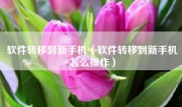 软件转移到新手机（软件转移到新手机怎么操作）