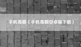 手机毒霸（手机毒霸安卓版下载）
