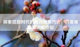 探索信息时代的高效搜索方式，百度查最新功能介绍