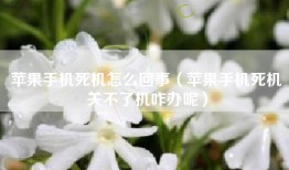 苹果手机死机怎么回事（苹果手机死机关不了机咋办呢）