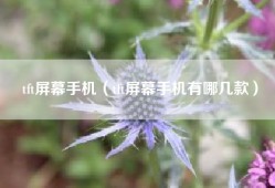 tft屏幕手机（tft屏幕手机有哪几款）