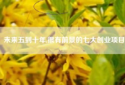未来五到十年,很有前景的七大创业项目