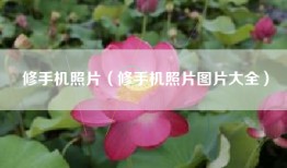 修手机照片（修手机照片图片大全）