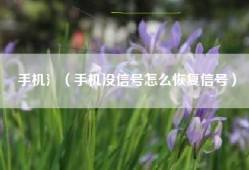 手机氵（手机没信号怎么恢复信号）