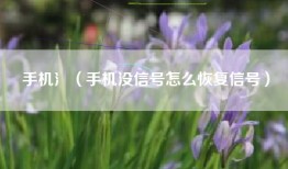 手机氵（手机没信号怎么恢复信号）