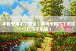 手机卡用不了流量（手机卡用不了流量打不了电话）