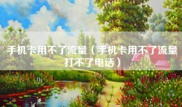 手机卡用不了流量（手机卡用不了流量打不了电话）