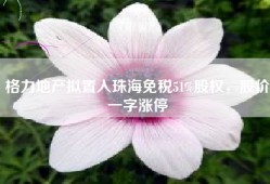 格力地产拟置入珠海免税51%股权，股价一字涨停