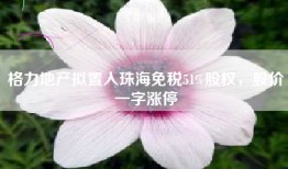 格力地产拟置入珠海免税51%股权，股价一字涨停