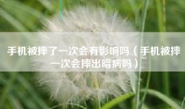 手机被摔了一次会有影响吗（手机被摔一次会摔出暗病吗）