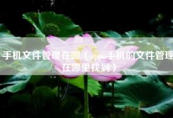 手机文件管理在哪（oppo手机的文件管理在哪里找到）