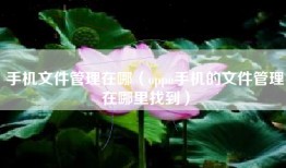 手机文件管理在哪（oppo手机的文件管理在哪里找到）