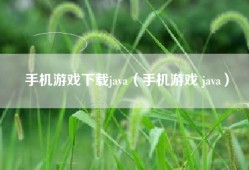 手机游戏下载java（手机游戏 java）