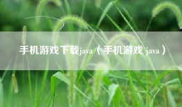 手机游戏下载java（手机游戏 java）