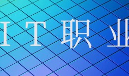 it是什么职业？