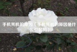手机死机的原因（手机死机的原因是什么引起的）
