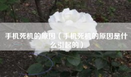 手机死机的原因（手机死机的原因是什么引起的）