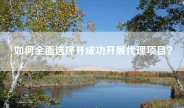 如何全面选择并成功开展代理项目？