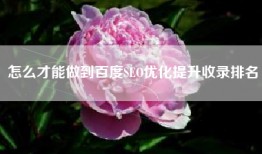 怎么才能做到百度SEO优化提升收录排名