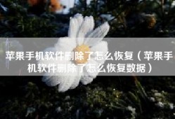 苹果手机软件删除了怎么恢复（苹果手机软件删除了怎么恢复数据）